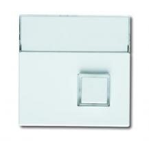 Busch-Jaeger 1571 CN-84 Zentralscheibe 1-fach mit Beschriftungsfeld