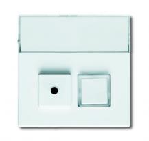 Busch-Jaeger 1572 CN-84 Zentralscheibe 2-fach mit Beschriftungsfeld