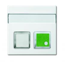 Busch-Jaeger 1572 CN-914 Zentralscheibe 2-fach mit Beschriftungsfeld