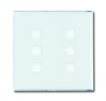 Busch-Jaeger 1575 CN-84 Zentralscheibe 6-fach beleuchtbar mit Beschriftungsfeld