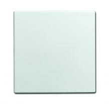 Busch-Jaeger 1576 C-914 Blindzentralscheibe Für Netzteil-Einsatz