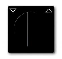 Busch-Jaeger 1740-81 Zentralscheibe mit Drehgriff mit Aufdruck