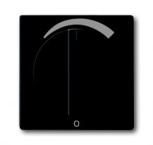 Busch-Jaeger 1740 DR/03-885 Zentralscheibe mit Drehgriff mit Aufdruck