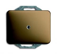 Busch-Jaeger 1742-21 Blindzentralscheibe mit Tragring