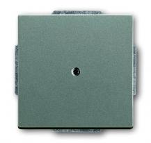 Busch-Jaeger 1742-803 Blindzentralscheibe mit Tragring