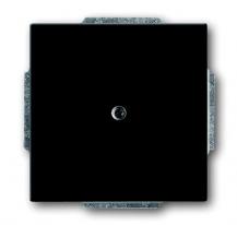 Busch-Jaeger 1742-81 Blindzentralscheibe mit Tragring