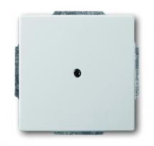 Busch-Jaeger 1742-866 Blindzentralscheibe mit Tragring