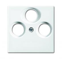 Busch-Jaeger 1743-03-914 Zentralscheibe als Abdeckung für handelsübliche Antennensteckdosen