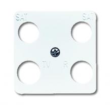 Busch-Jaeger 1743-04-214 Zentralscheibe 50 x 50 mm