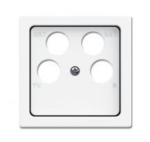 Busch-Jaeger 1743/10-04-84 Zentralscheibe