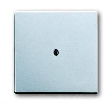 Busch-Jaeger 1745-83 Zentralscheibe