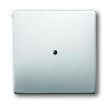 Busch-Jaeger 1745-866 Zentralscheibe