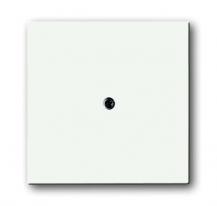 Busch-Jaeger 1745-884 Zentralscheibe