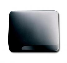 Busch-Jaeger 1746-20-101 Zentralscheibe