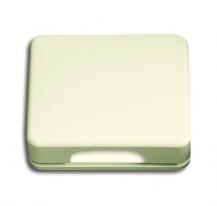 Busch-Jaeger 1746-22G FN Zentralscheibe Zur Aufnahme von 50/50 Zentralscheiben