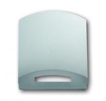 Busch-Jaeger 1746-866 Zentralscheibe