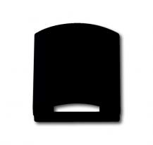 Busch-Jaeger 1746-885 Zentralscheibe