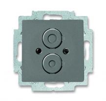 Busch-Jaeger 1748-803 Zentralscheibe mit Tragring