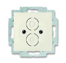 Busch-Jaeger 1748-82 Zentralscheibe mit Tragring