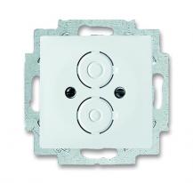 Busch-Jaeger 1748-884 Zentralscheibe mit Tragring