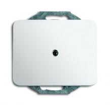 Busch-Jaeger 1749-24G Zentralscheibe mit Tragring