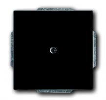 Busch-Jaeger 1749-81 Zentralscheibe mit Leitungsauslass