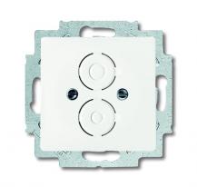 Busch-Jaeger 1750-884 Zentralscheibe mit Tragring