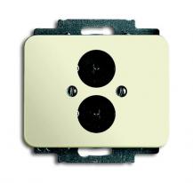 Busch-Jaeger 1751-22G Zentralscheibe mit Tragring