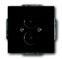 Busch-Jaeger 1751-81 Zentralscheibe mit Tragring