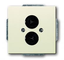 Busch-Jaeger 1751-82 Zentralscheibe mit Tragring