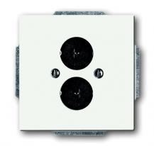 Busch-Jaeger 1751-884 Zentralscheibe mit Tragring