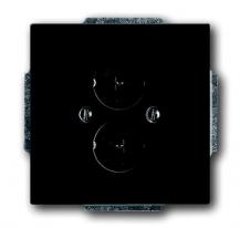 Busch-Jaeger 1751-885 Zentralscheibe mit Tragring