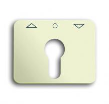 Busch-Jaeger 1755 PZ-22G-101 Zentralscheibe mit Aufdruck