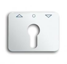 Busch-Jaeger 1755 PZ-24G-101 Zentralscheibe mit Aufdruck