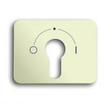 Busch-Jaeger 1755 SLPZ-22G-101 Zentralscheibe Für Schlüsselschalter