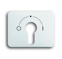 Busch-Jaeger 1755 SLPZ-24G-101 Zentralscheibe Für Schlüsselschalter