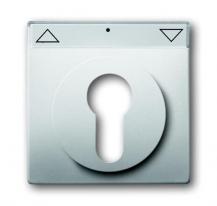 Busch-Jaeger 1755 SL/PZ-866-101 Zentralscheibe mit Beschriftungsfeld