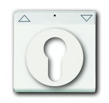 Busch-Jaeger 1755 SL/PZ-884-101 Zentralscheibe mit Beschriftungsfeld