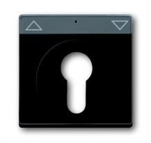 Busch-Jaeger 1755 SL/PZ-885-101 Zentralscheibe mit Beschriftungsfeld