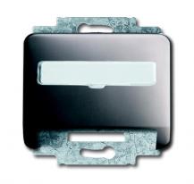 Busch-Jaeger 1758-20 Zentralscheibe mit Tragring