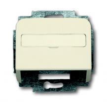 Busch-Jaeger 1758-212 Zentralscheibe mit Tragring