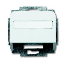 Busch-Jaeger 1758-214 Zentralscheibe mit Tragring