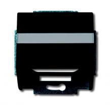 Busch-Jaeger 1758-81 Zentralscheibe mit Tragring