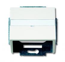 Busch-Jaeger 1758-884 Zentralscheibe mit Tragring