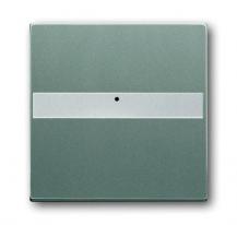 Busch-Jaeger 1764 NLI-803 Wippe mit Beschriftungsfeld