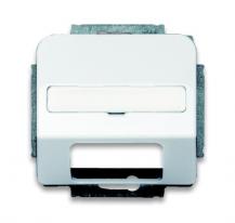 Busch-Jaeger 1769-24G Zentralscheibe mit Beschriftungsfeld