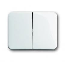 Busch-Jaeger 1785-24G Wippe Serienschalter