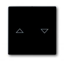 Busch-Jaeger 1785 JA-81 Wippe mit Aufdruck