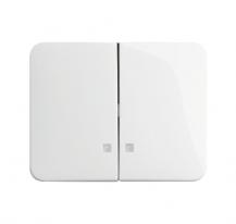 Busch-Jaeger 1785 K-24G Wippe Wippe-Serien-Kontrollschalter