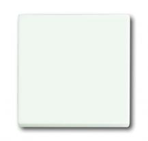 Busch-Jaeger 1786-884 Wippe geschlossen für Schaltereinsatz